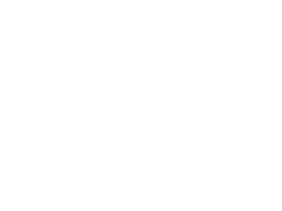 Scouts-text